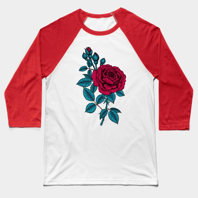 Red rose Baseball T-Shirt by katerinamk